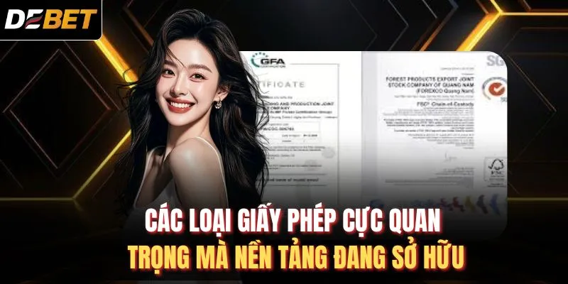 Các loại giấy phép cực quan trọng mà nền tảng đang sở hữu
