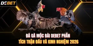 Đá gà Mộc Bài