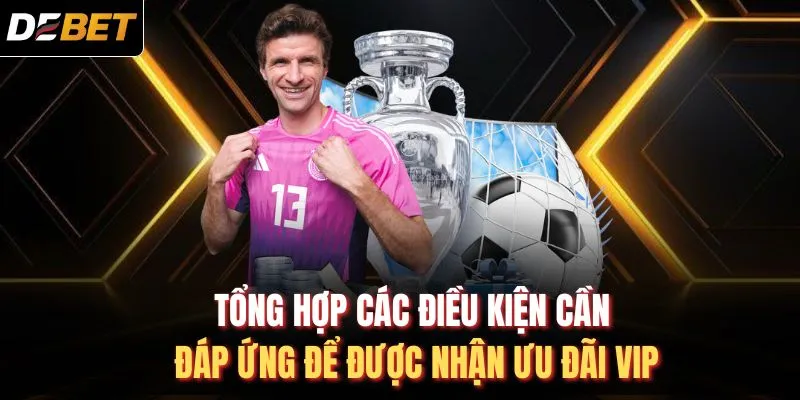 Tổng hợp các điều kiện cần đáp ứng để được nhận ưu đãi VIP